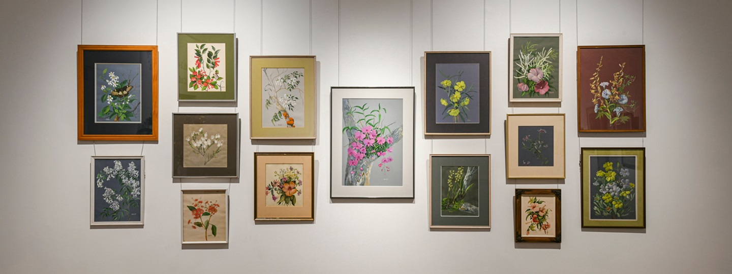 artworks by Vera Scarth-Johnson