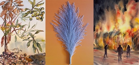 Maggie-Carmel-Colleen-Collage.jpg