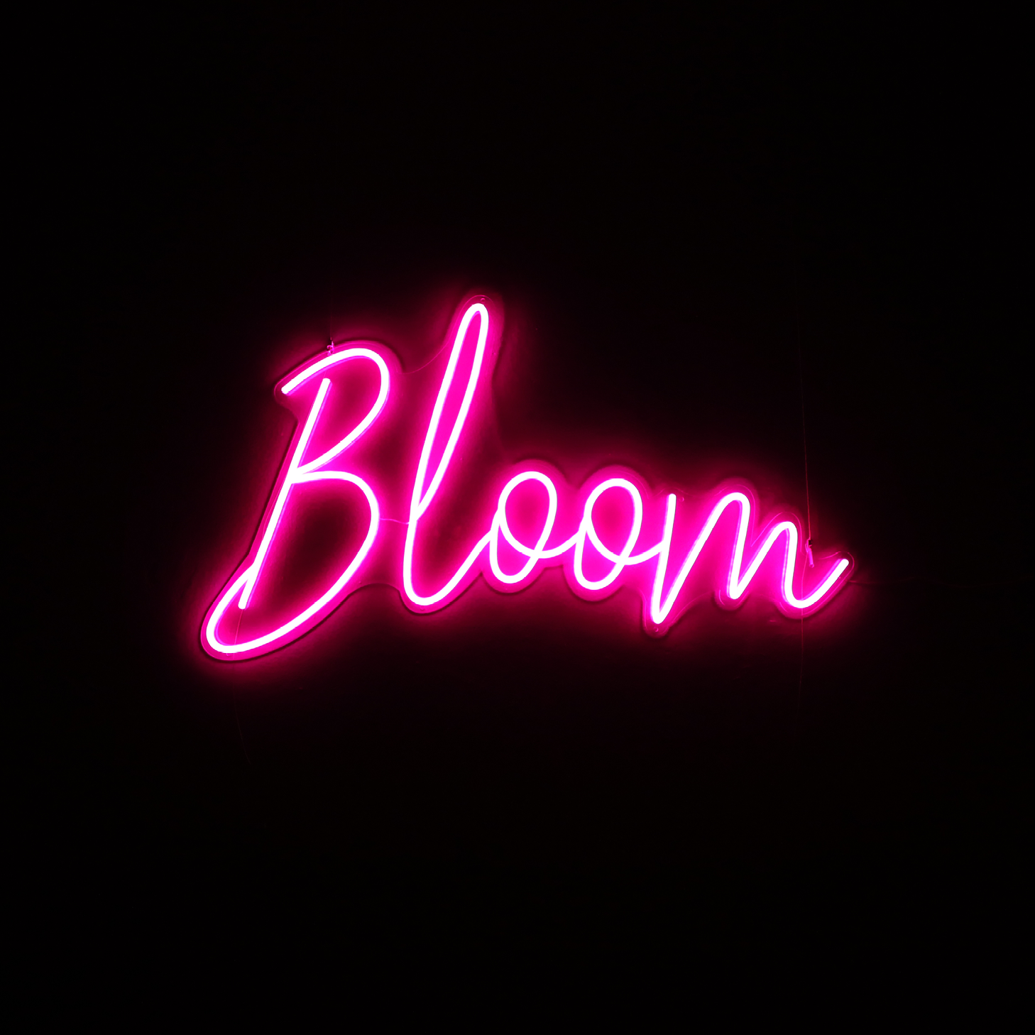 Bloom