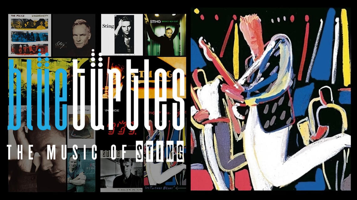 Blue Turtle Images 900 x 506.jpg