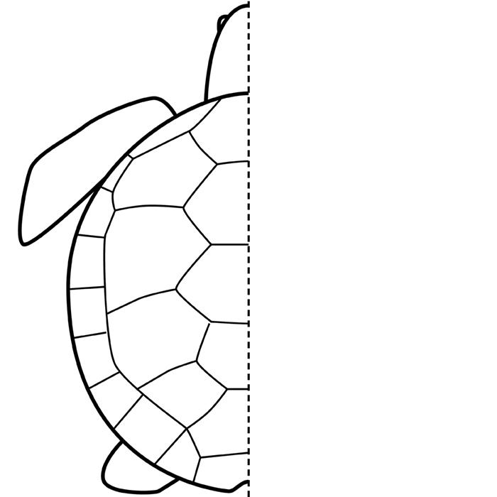 Printable turtle